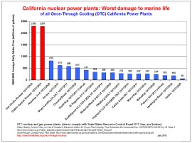 OTC NPP Highest Damage Chart