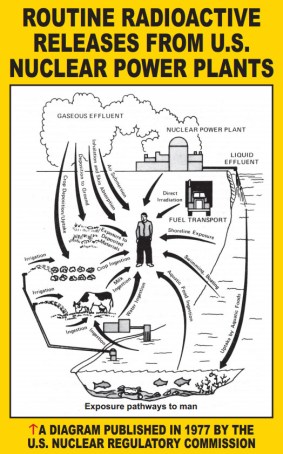Routine Radioactive Releases from Nuclear Power Plants