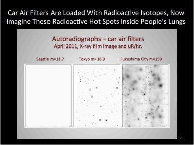 Car Air Filters Fukushima Radiation Fairewinds2013-06-04