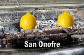San Onofre Lemons